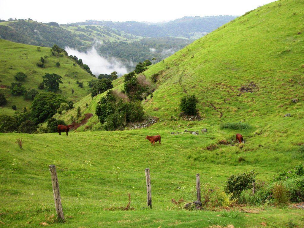 Top Of The Hill Maleny Extérieur photo