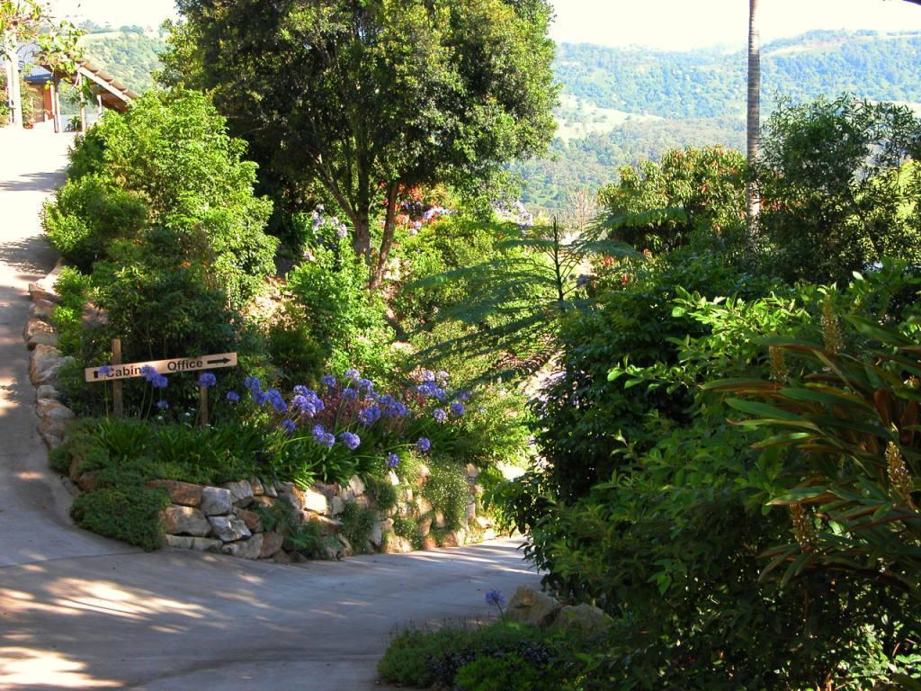 Top Of The Hill Maleny Extérieur photo