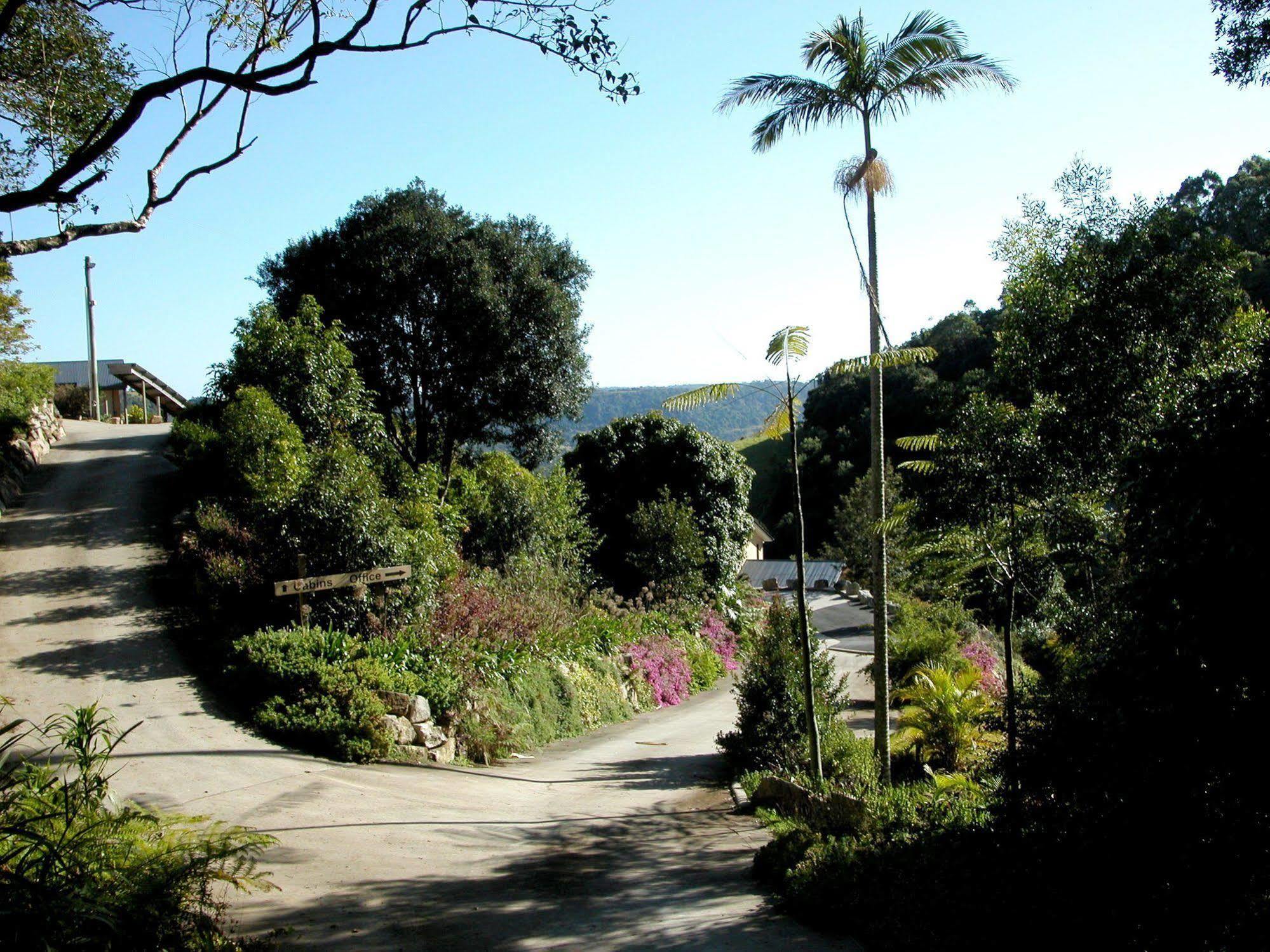 Top Of The Hill Maleny Extérieur photo